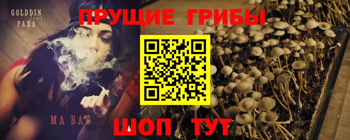 Псилоцибиновые грибы ЛСД  где купить   Каспийск  Вход с VPN 