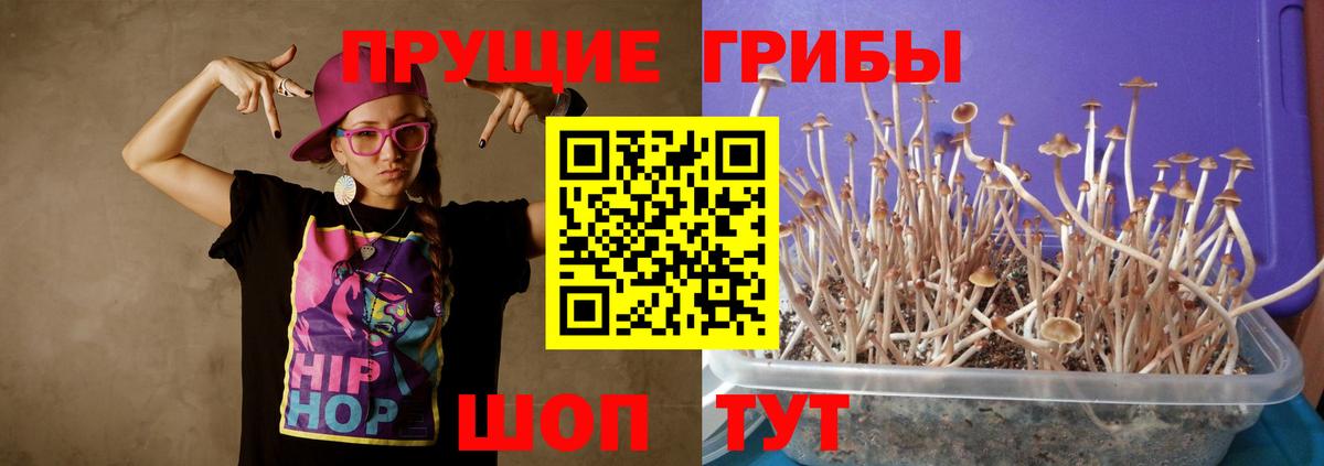Галлюциногенные грибы GOLDEN TEACHER Каспийск
